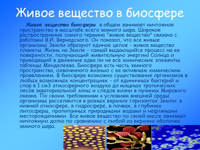 Учение о биосфере 2