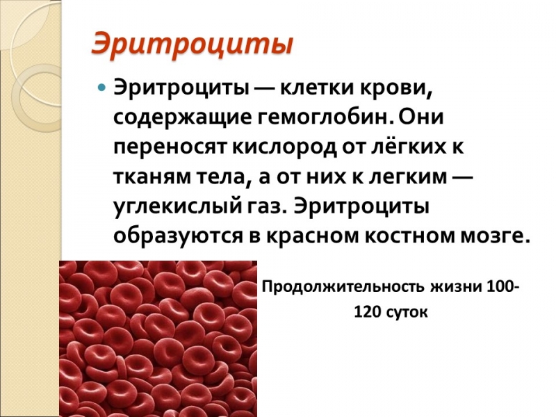 Сны и сновидения