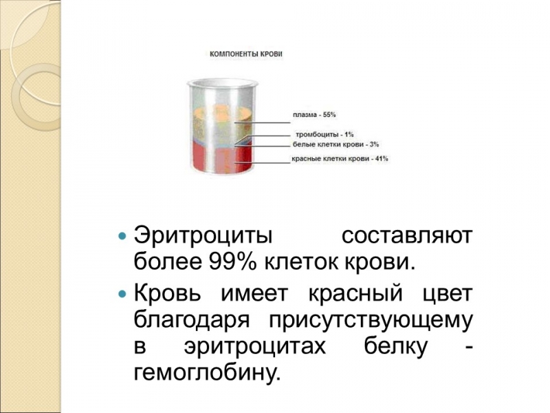 Сны и сновидения