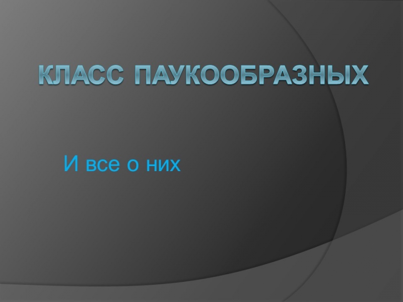 Класс паукообразные