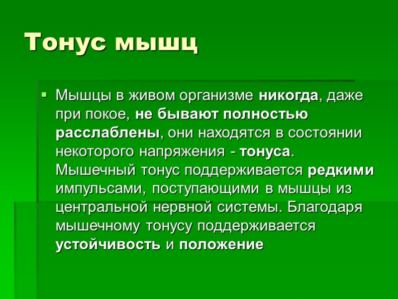 Мышцы как активная часть опорно-двигательной системы