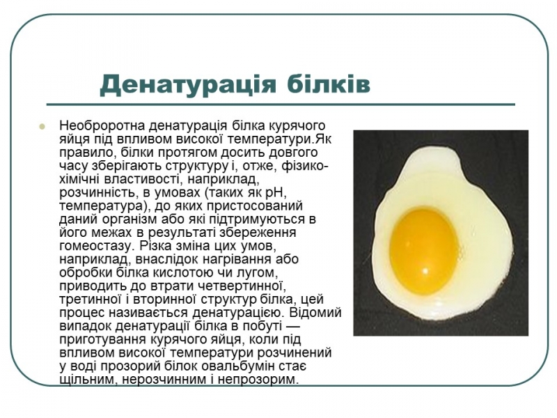 Що таке білки