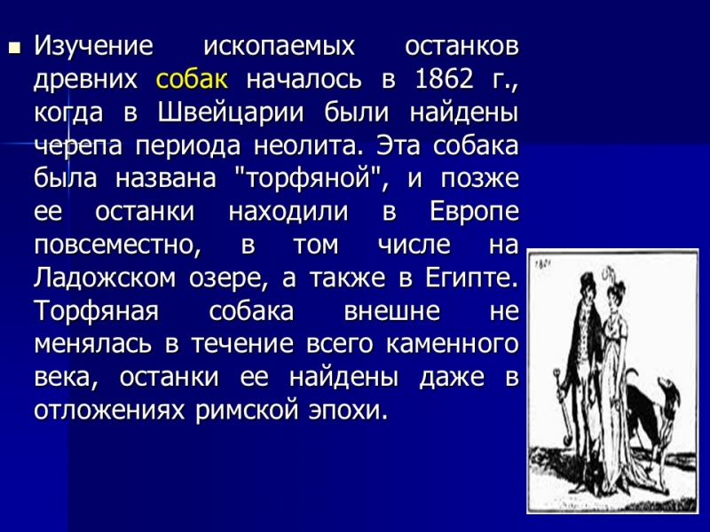 Одомашнивание животных