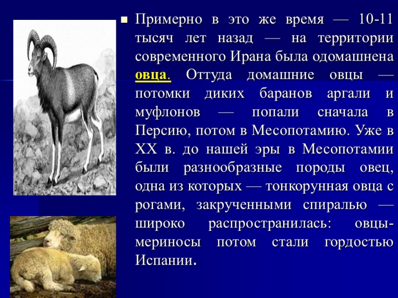 Одомашнивание животных
