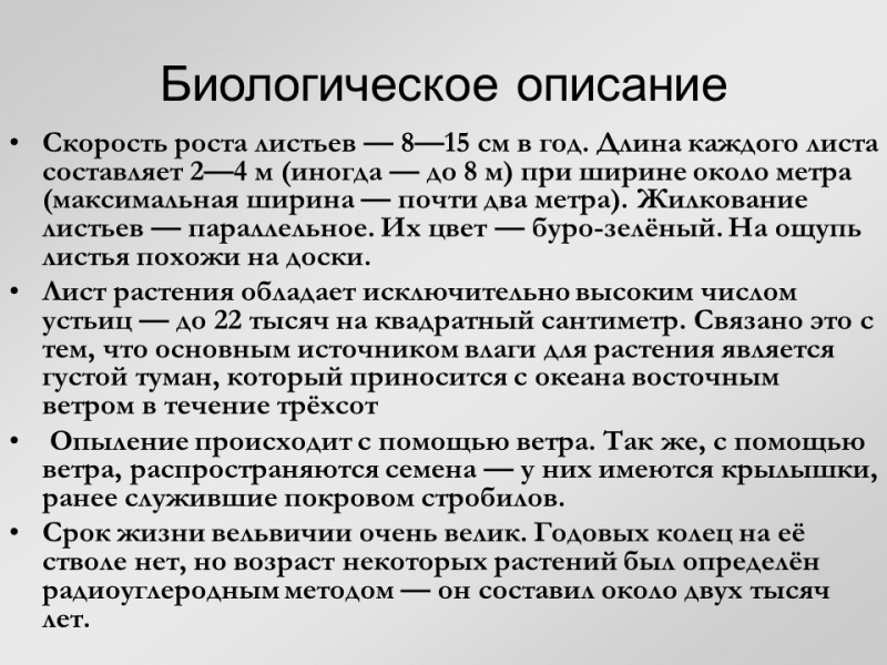 Вельвичия