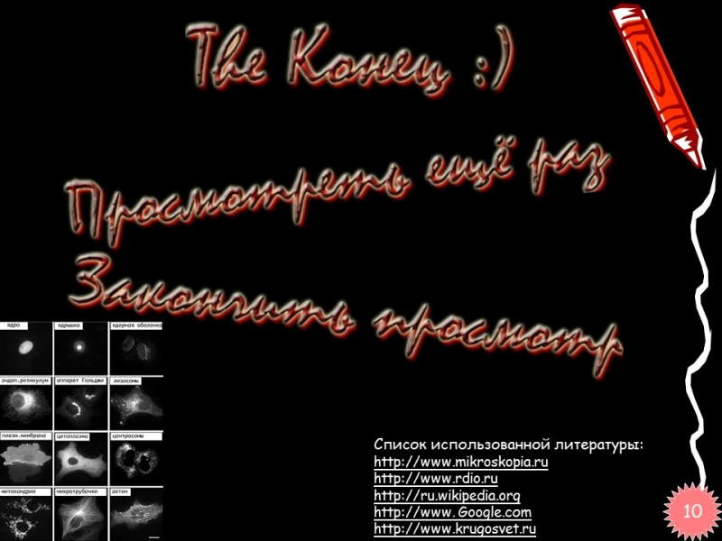 Методы исследования клетки