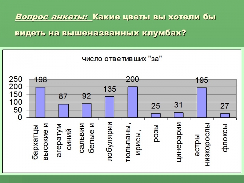 Социальный проект Цветочный калейдоскоп