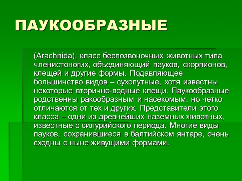 Тип членистоногие