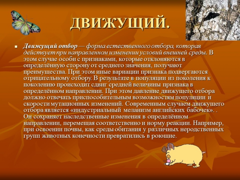 Естественный отбор 2