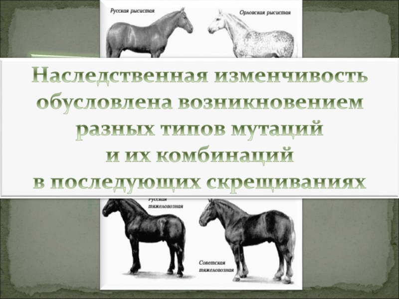 Генетика человека наследственные болезни