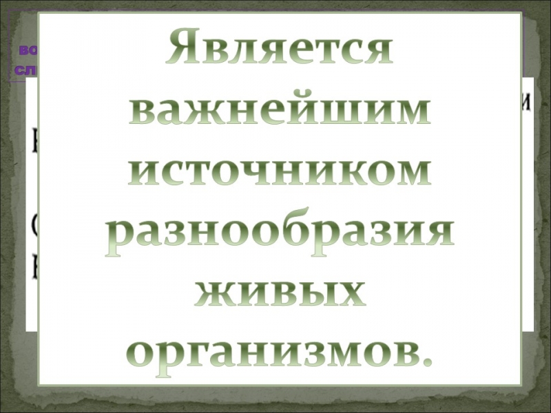 Генетика человека наследственные болезни