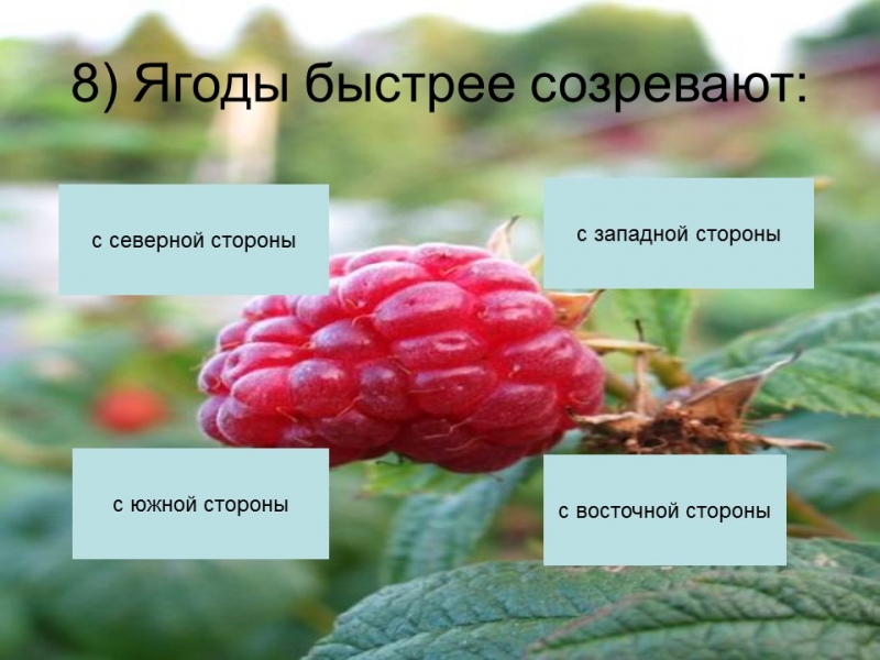 Ориентирование на местности 2 Способы определения