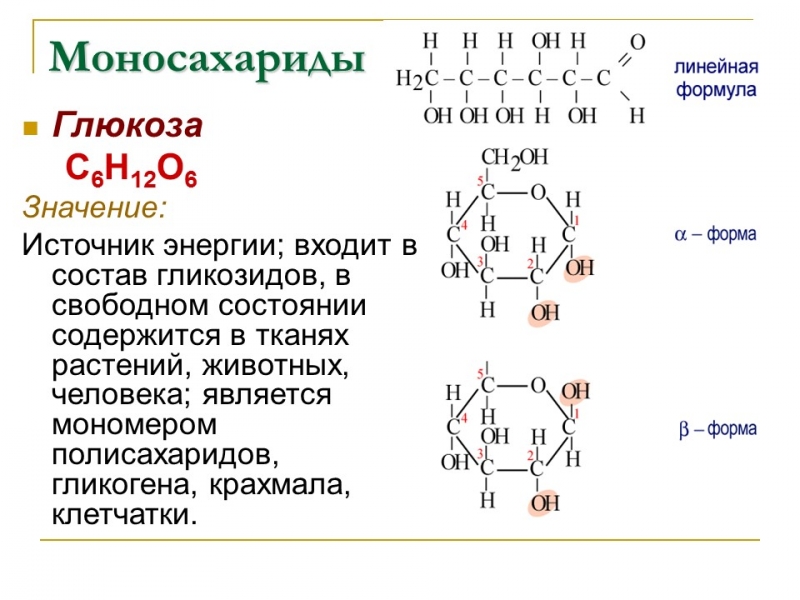 Углеводы Строение и функции