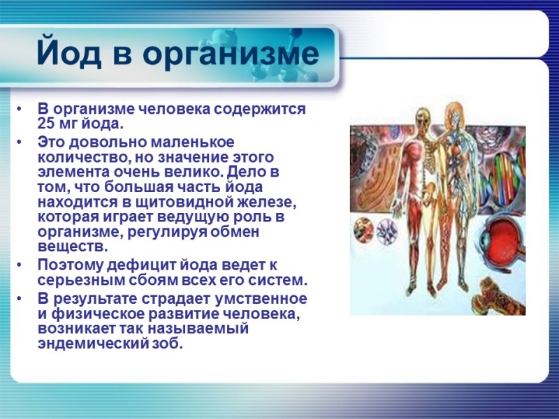 Йод в организме