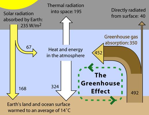 Ecological problems. Environmental protection