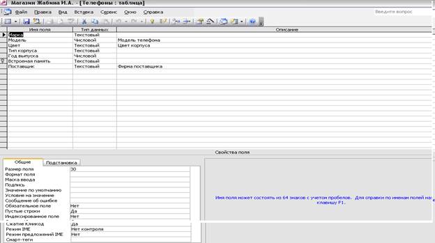 Microsoft Access 3