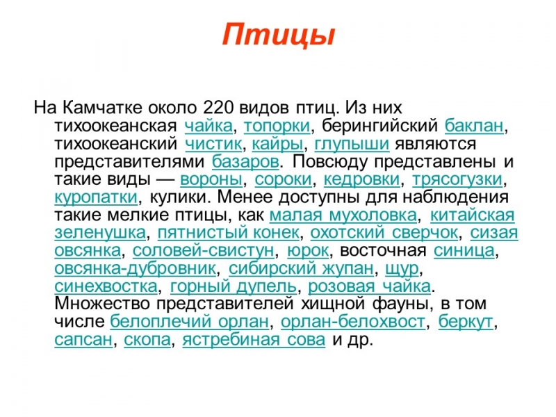 География и природа Камчатки