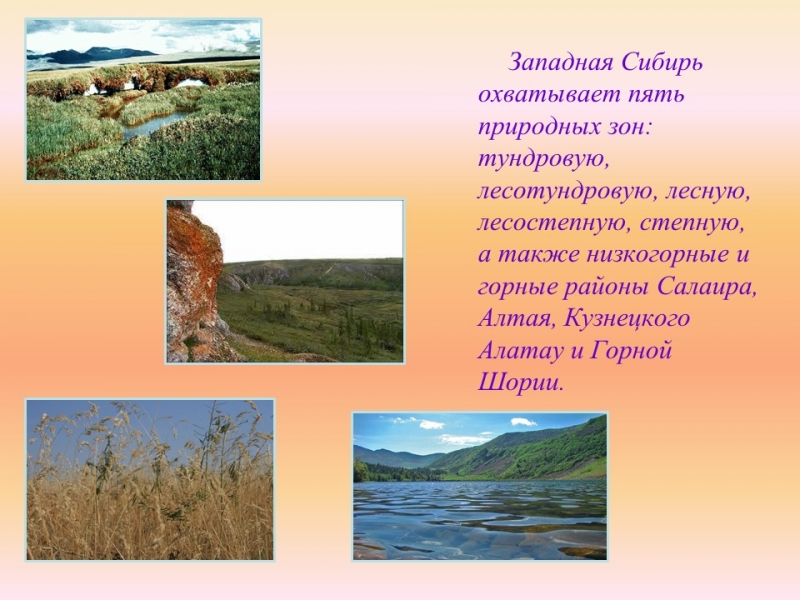Западно-Сибирский экономический район