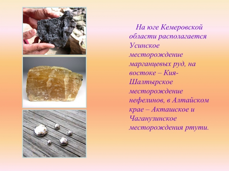 Западно-Сибирский экономический район