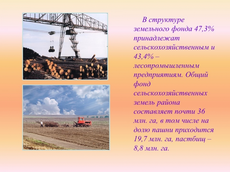 Западно-Сибирский экономический район