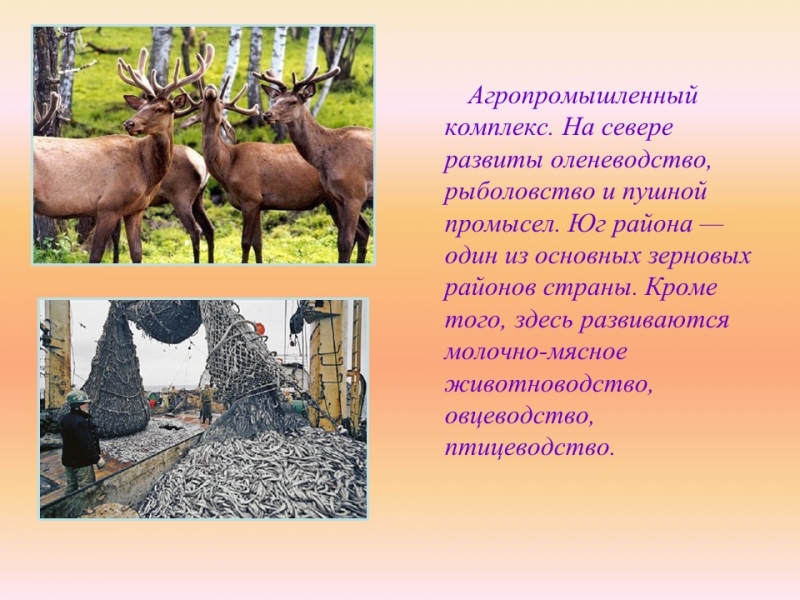 Западно-Сибирский экономический район