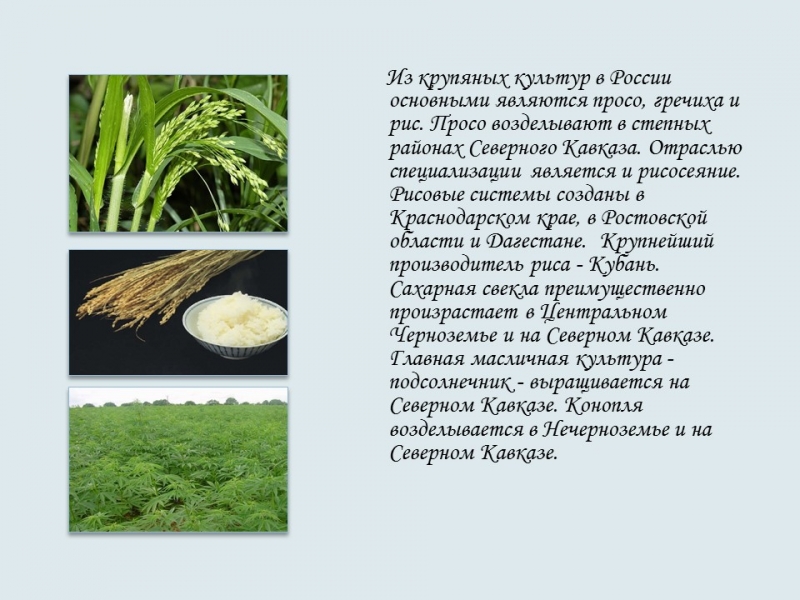 Северо-Кавказский экономический район