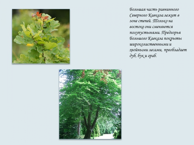 Северо-Кавказский экономический район