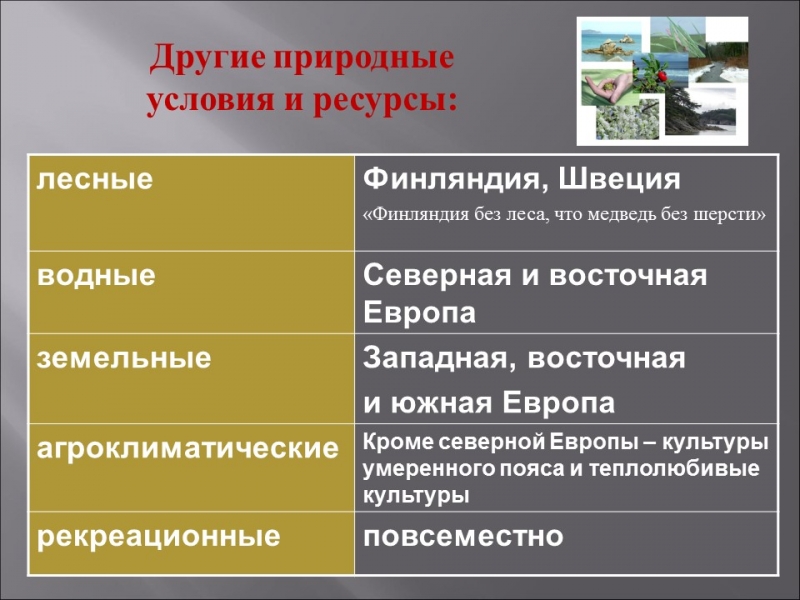 Зарубежная Европа