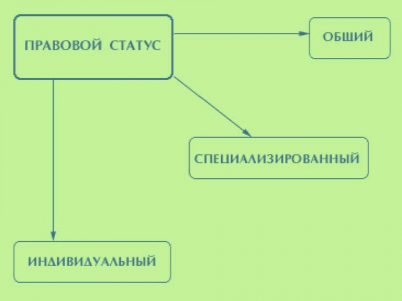 Особенности правоотношения