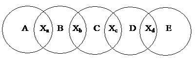 Подпись: A Xa B Xb C Xc D Xd E 