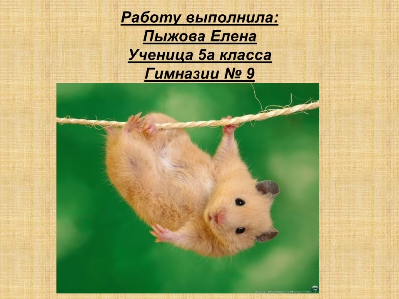 История Древнего Египта 2