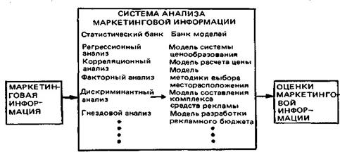 Покупательское поведение сегментирование рынка и позиционирование товара