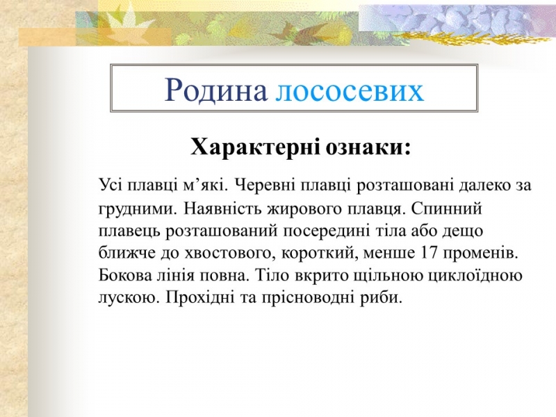 Родини промислових риб