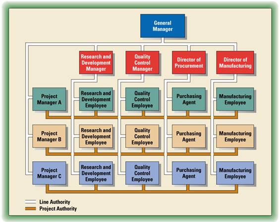 Matrix Organization Structure: Advantages and Disadvantages