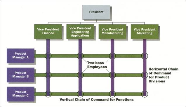 Matrix Organization Structure: Advantages and Disadvantages
