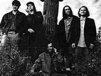Gin Blossoms
