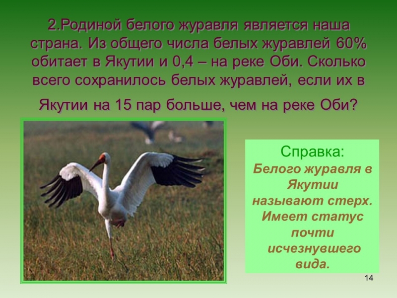 Методика решения задач с помощью пропорций в 6 классе