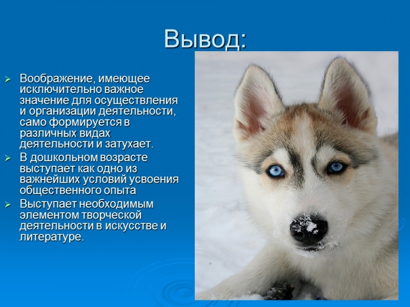 Понятие о воображении его основных видах и процессах