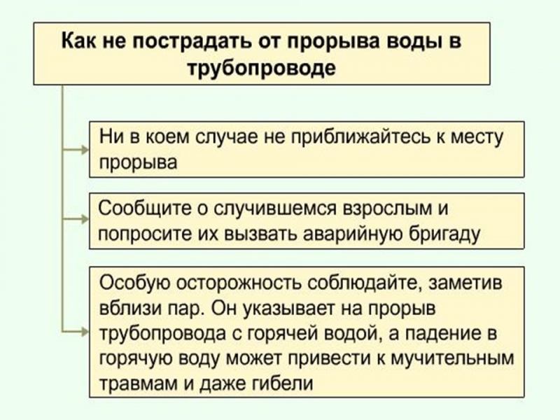 Улица полна неожиданностей